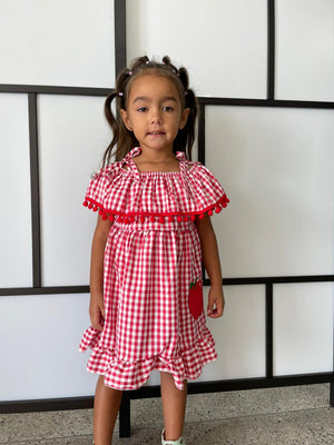 Girls Apple Gingham Dress